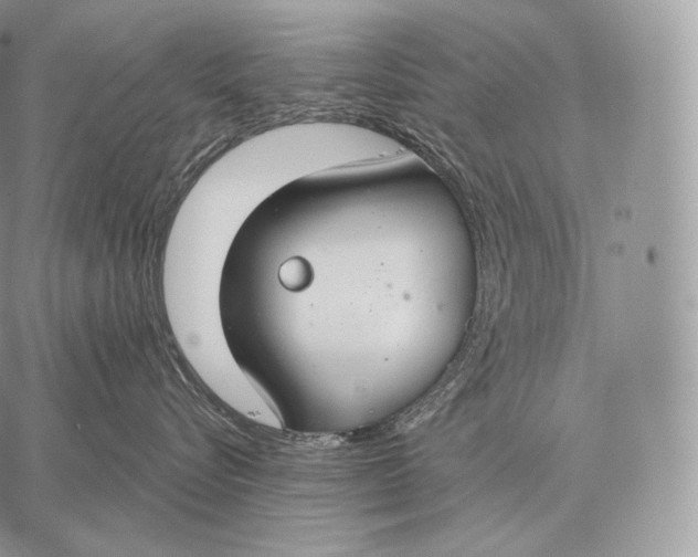 X0000059840576200511111748