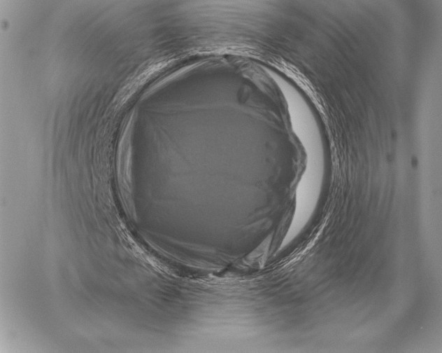 X0000059840577200511111747