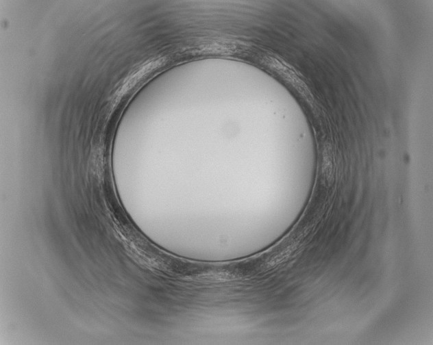 X0000059840578200511111747