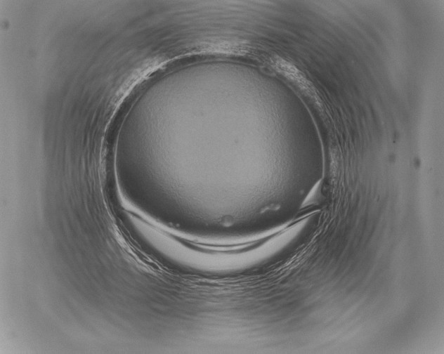 X0000059840580200511111747