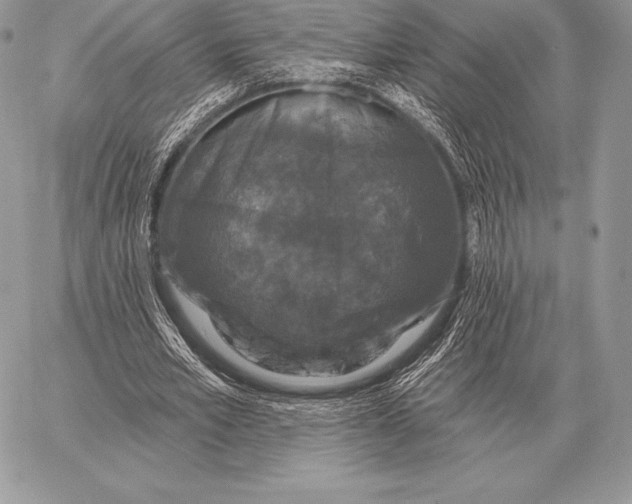 X0000059840581200511111747