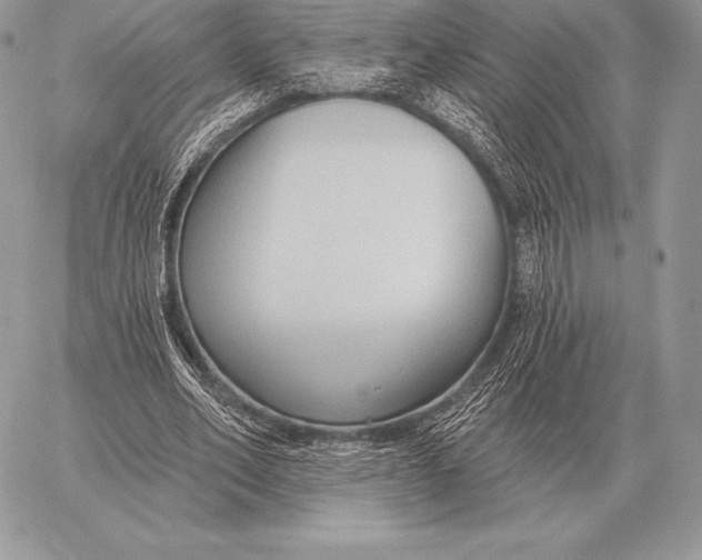 X0000059840582200511111747