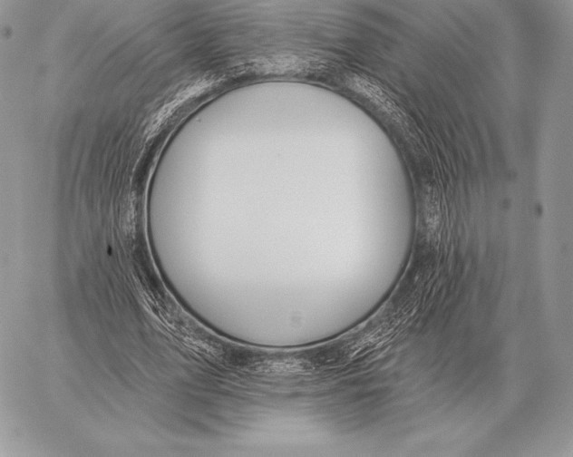 X0000059840583200511111747