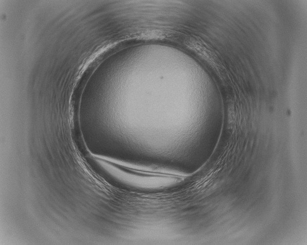 X0000059840584200511111747