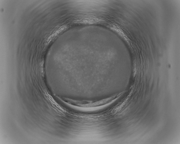 X0000059840585200511111747