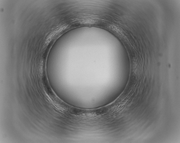 X0000059840586200511111747