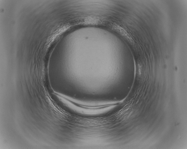 X0000059840588200511111747