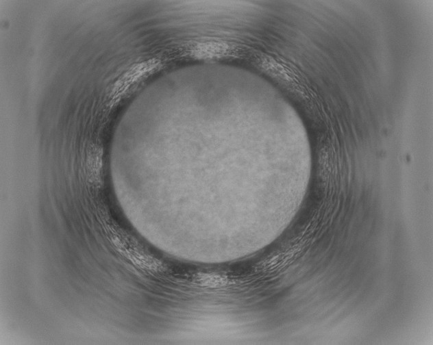 X0000059840592200511111747