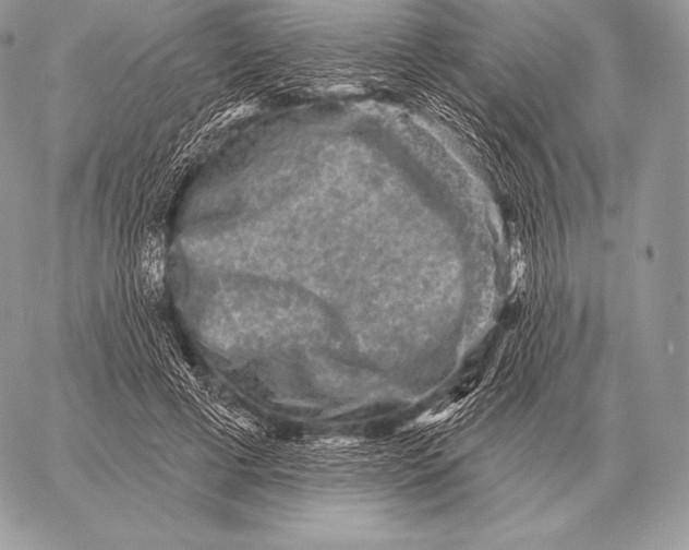 X0000059840593200511111747