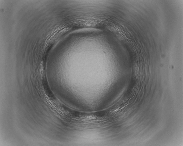 X0000059840594200511111747