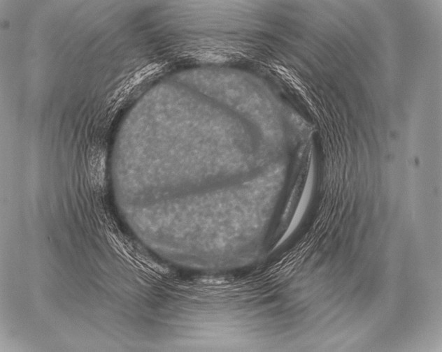 X0000059840596200511111747