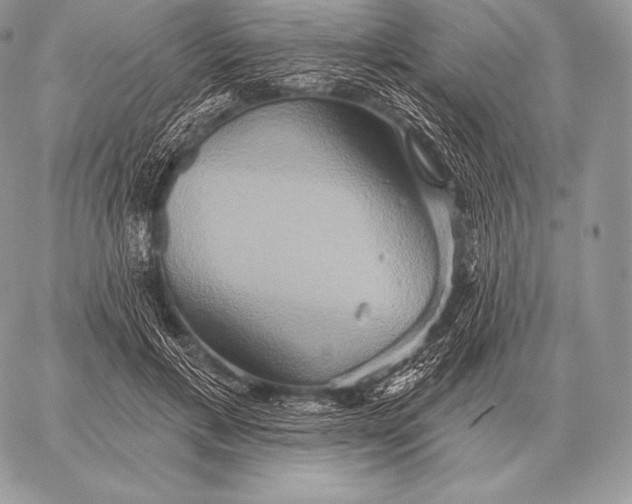 X0000059840597200511111747