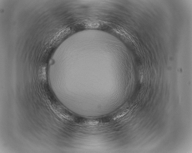 X0000059840598200511111747