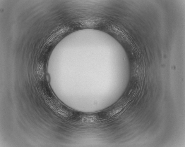 X0000059840599200511111747