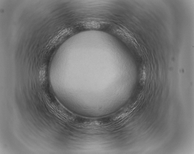 X0000059840600200511111747