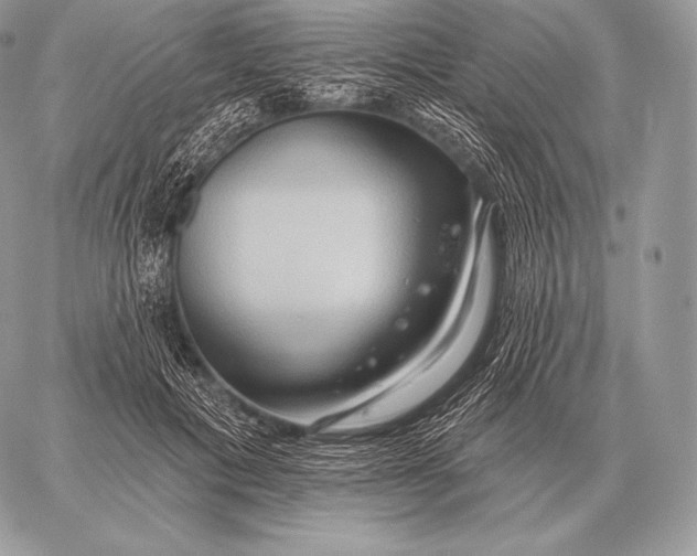 X0000059840601200511111747