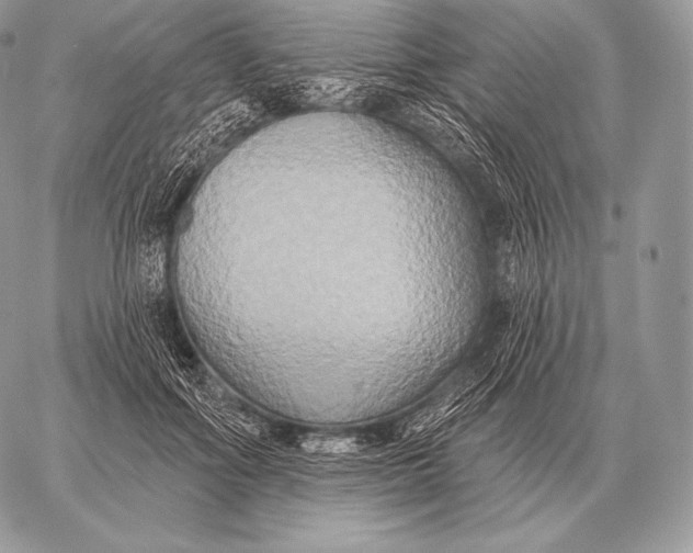 X0000059840602200511111746