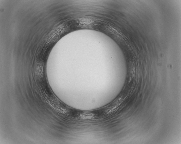 X0000059840603200511111746