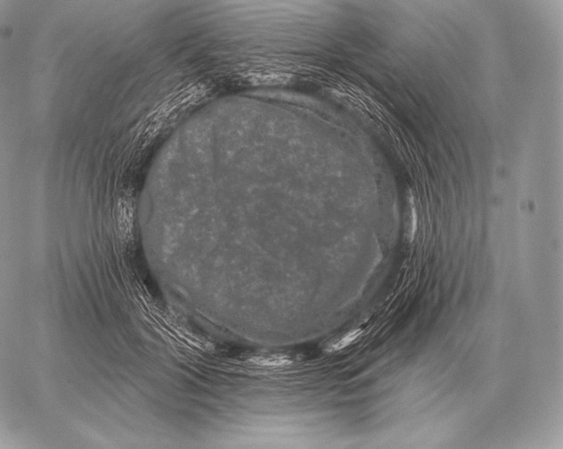 X0000059840604200511111746