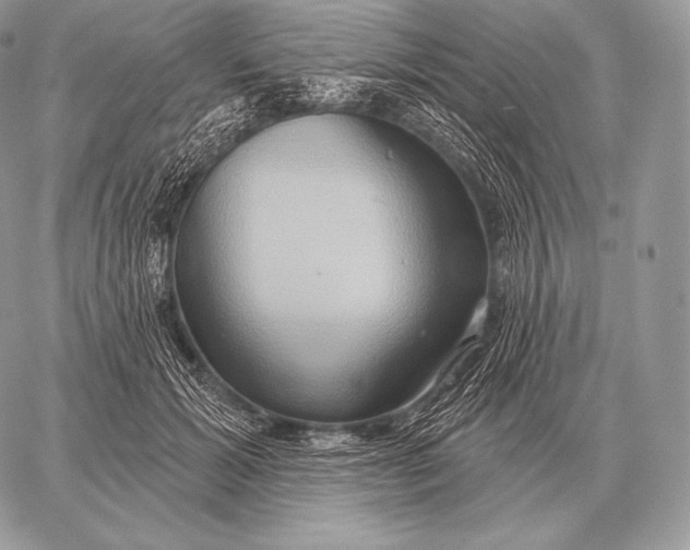 X0000059840605200511111746