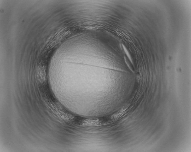 X0000059840606200511111746