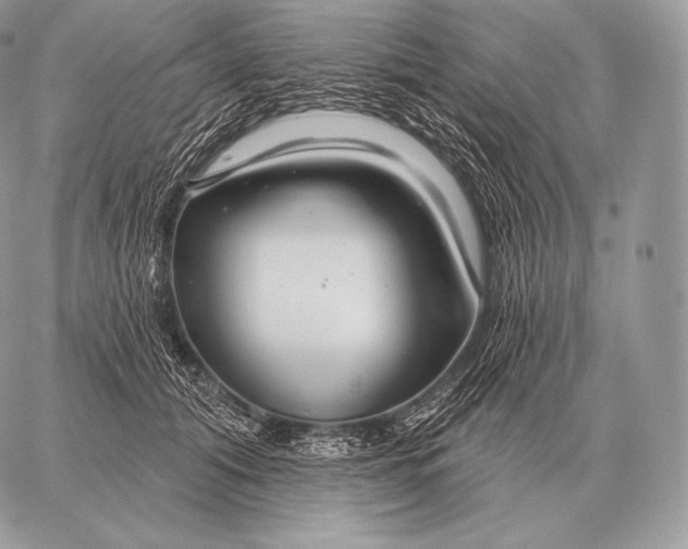 X0000059840608200511111746