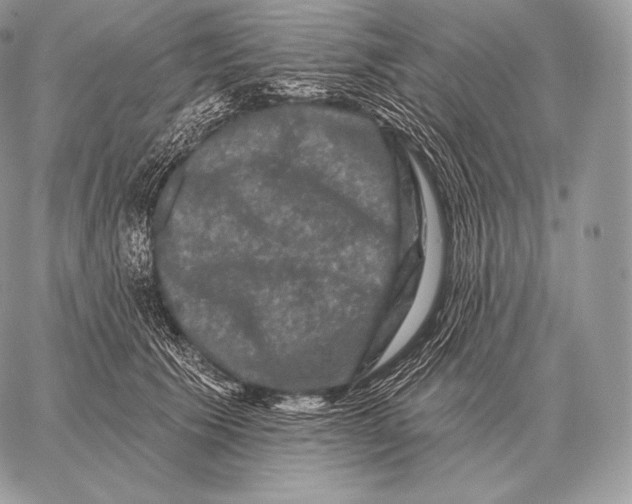 X0000059840609200511111746