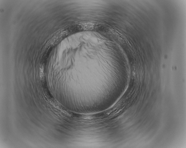 X0000059840610200511111746