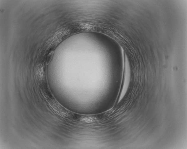 X0000059840611200511111746