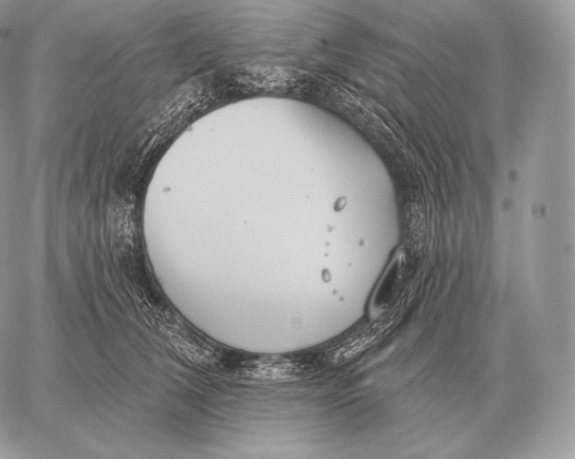 X0000059840612200511111746