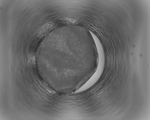 X0000059840613200511111746