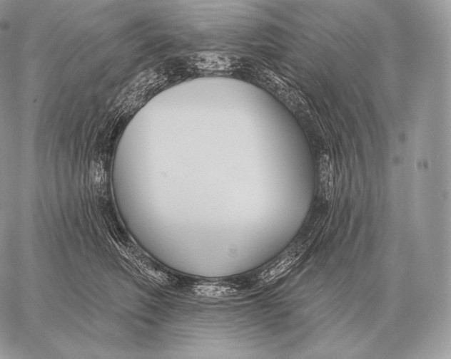 X0000059840614200511111746