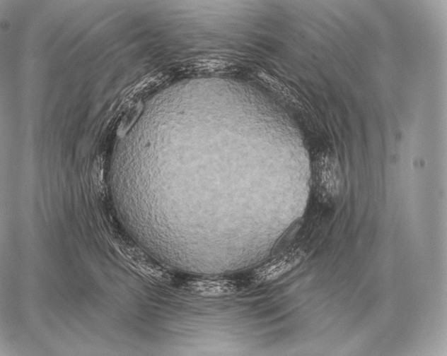 X0000059840615200511111746