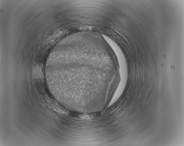 X0000059840616200511111746