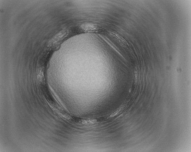 X0000059840618200511111746