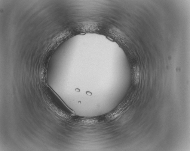 X0000059840619200511111746