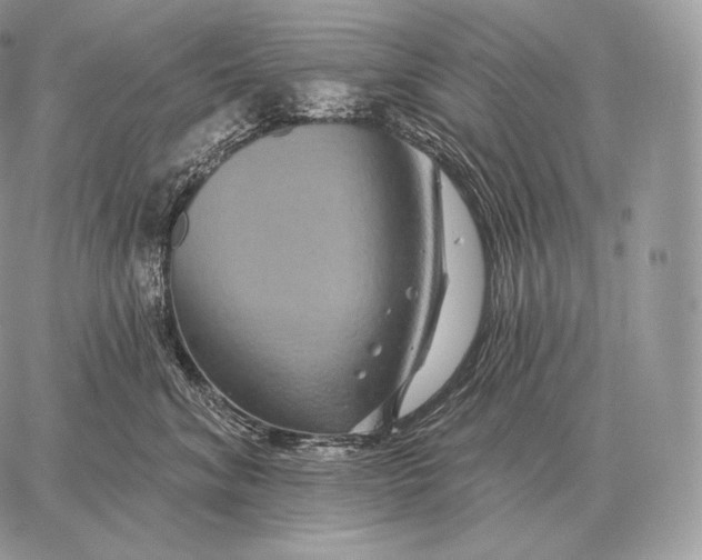 X0000059840620200511111746