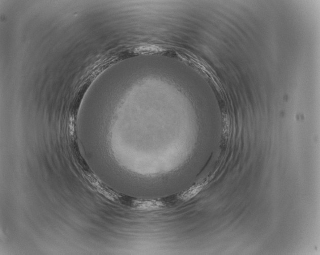 X0000059840621200511111746