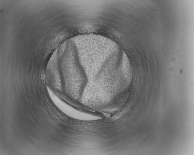 X0000059840624200511111746