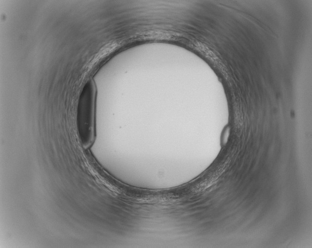 X0000059840625200511111745