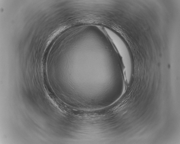 X0000059840626200511111745