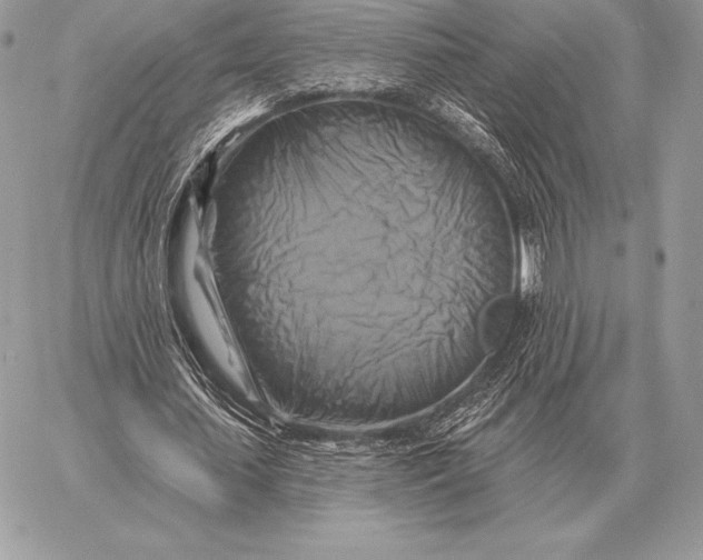 X0000059840627200511111745