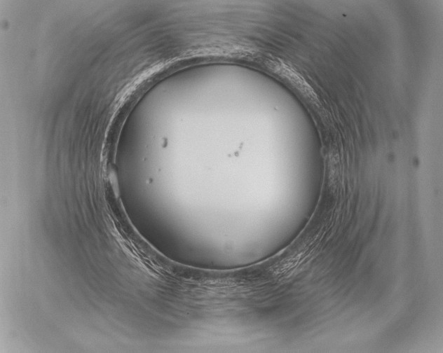 X0000059840628200511111745