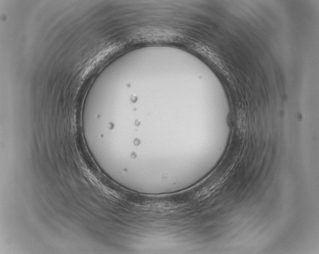 X0000059840629200511111745