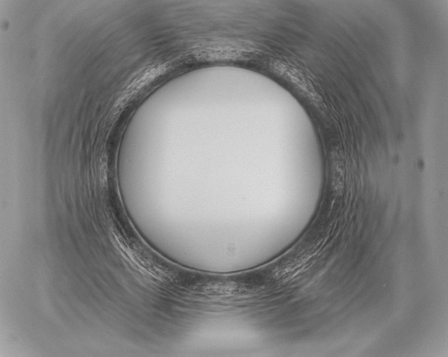 X0000059840631200511111745