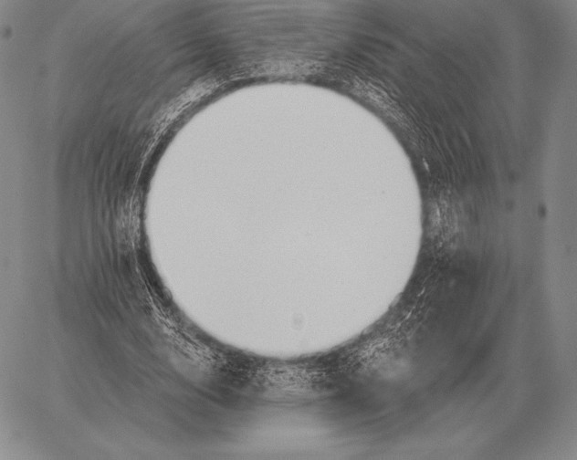 X0000059840632200511111745