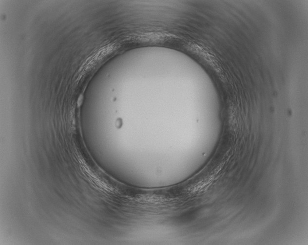 X0000059840633200511111745