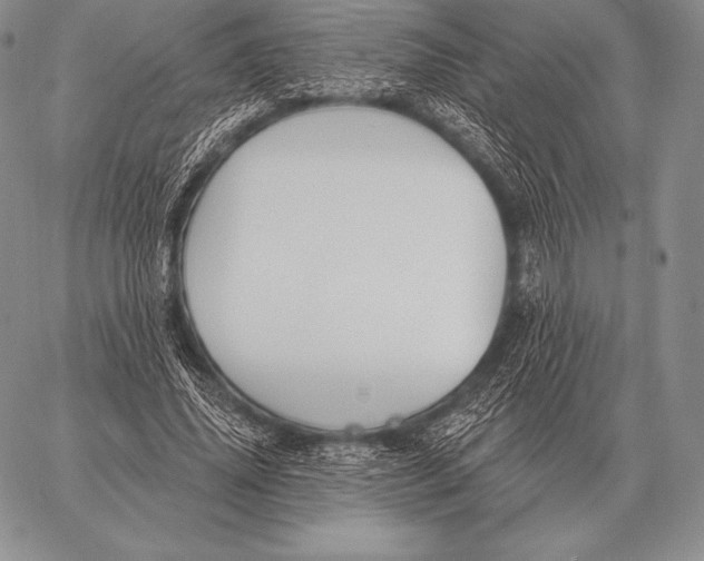 X0000059840636200511111745