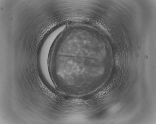 X0000059840637200511111745