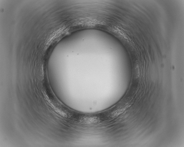 X0000059840638200511111745